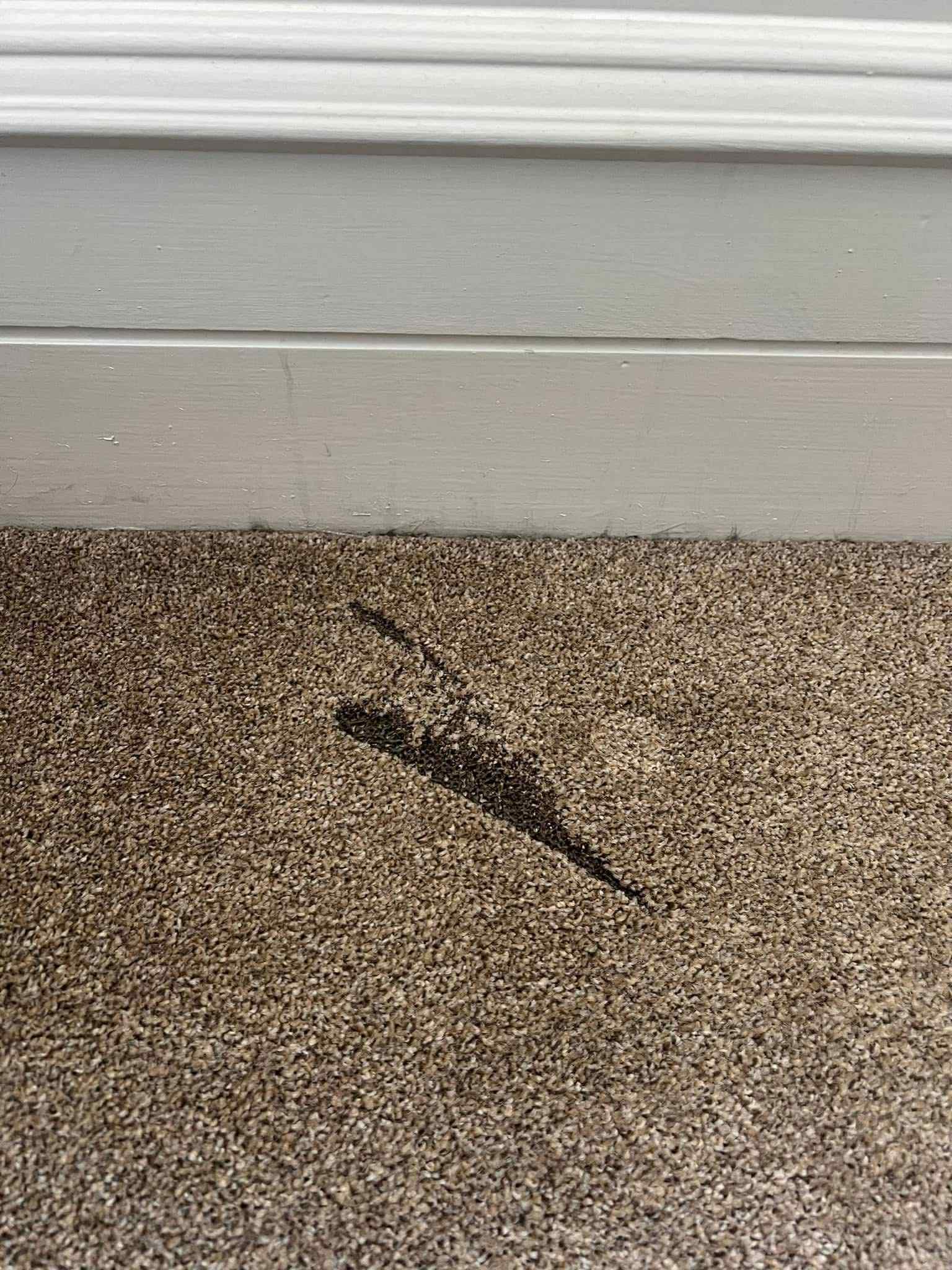 Carpet Repair Edinburgh