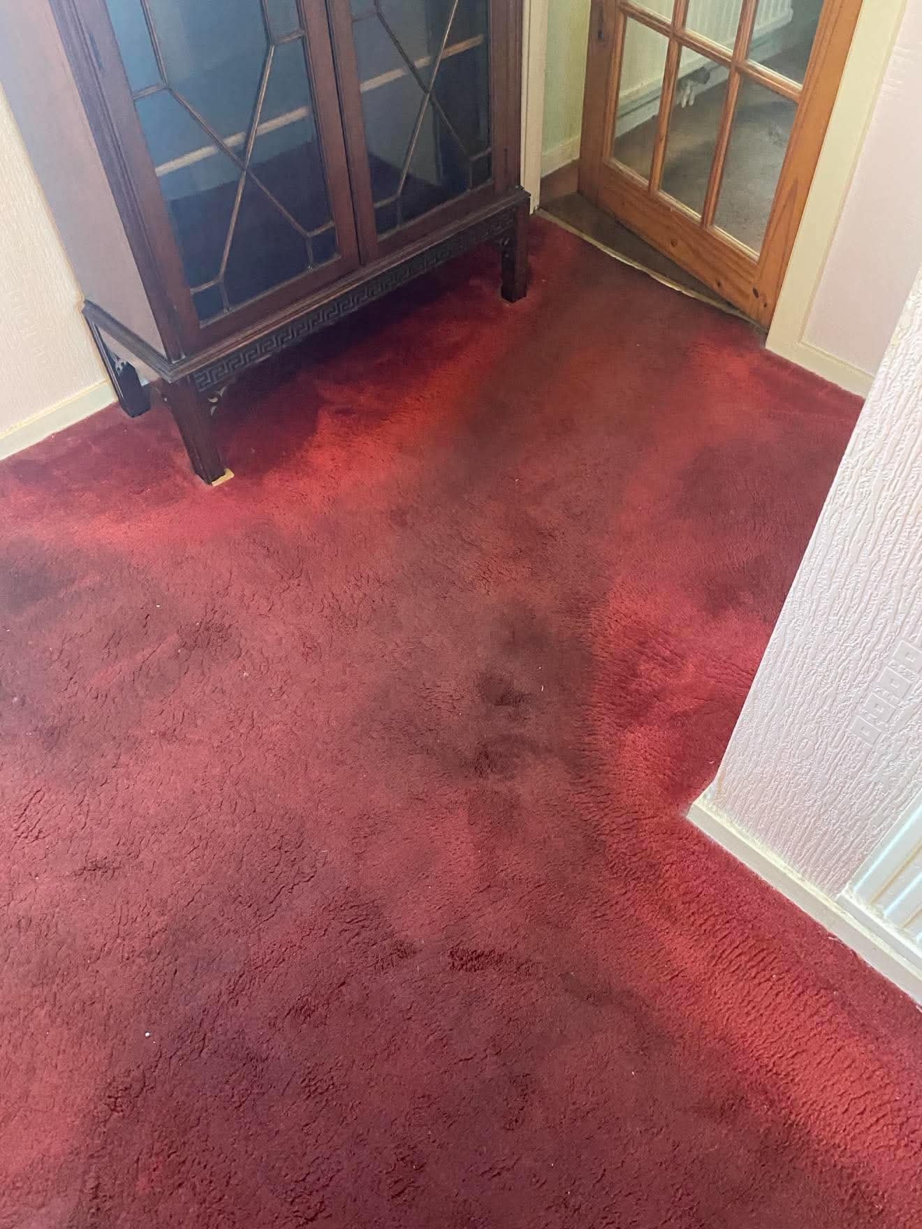 Expert carpet cleaners Edinburgh