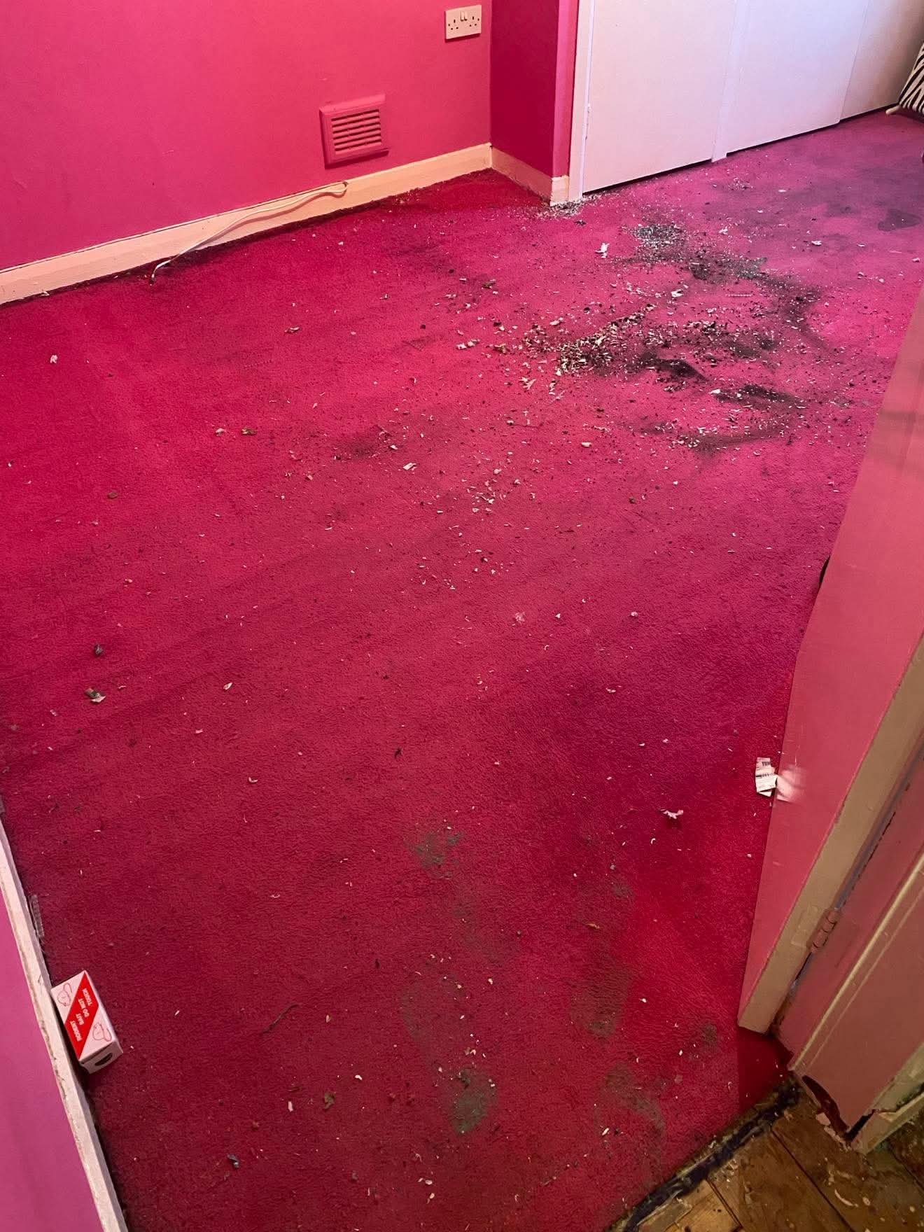 Carpet cleaning Edinburgh professional service